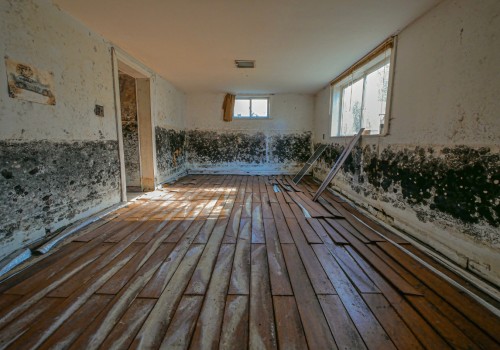 Expert Tips For Mold Removal On Natural Stone Building Materials In Mt. Pleasant, SC